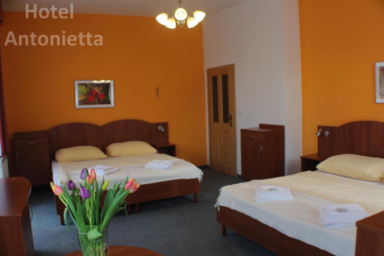 Hotel Antonietta Teplice Eksteriør billede