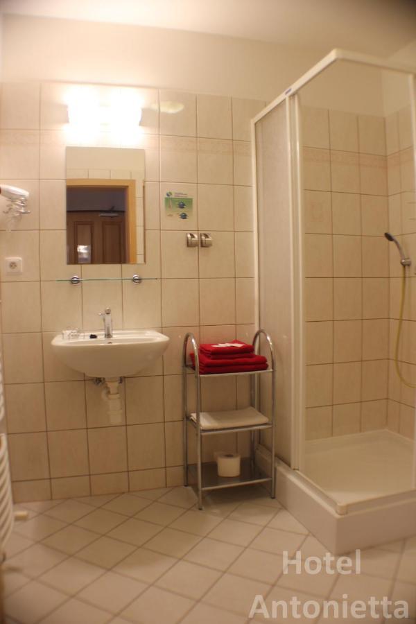 Hotel Antonietta Teplice Værelse billede